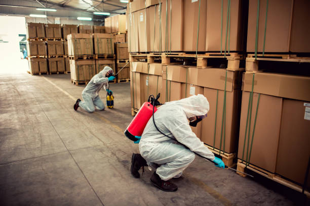 Best Bed Bug Extermination  in Leisure Village West, NJ