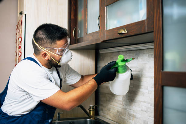 Best Best Pest Control Companies  in Leisure Village West, NJ