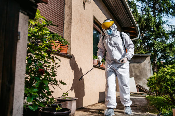Best Insect Control  in Leisure Village West, NJ
