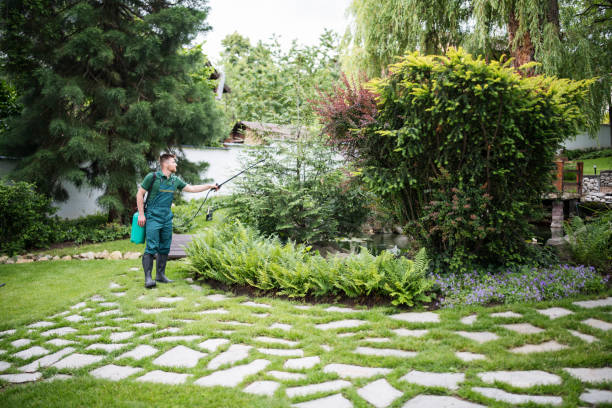 Best Exterminator Services  in Leisure Village West, NJ