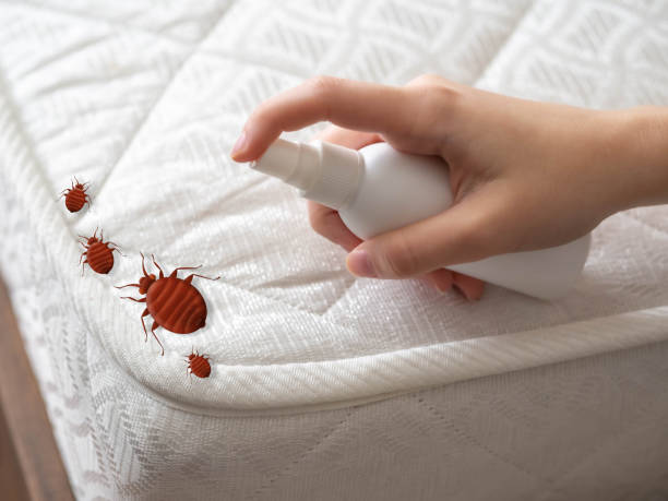 Best Mosquito Control Services  in Leisure Village West, NJ