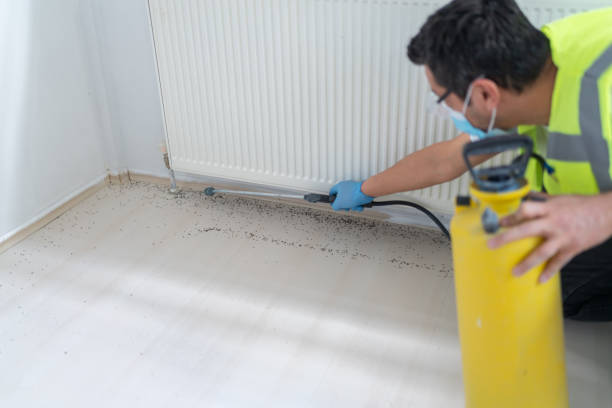 Best Pest Inspection Near Me  in Leisure Village West, NJ