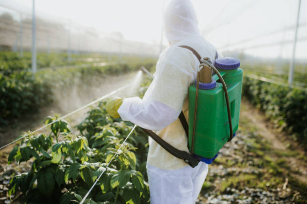 Best Rat Extermination Near Me  in Leisure Village West, NJ